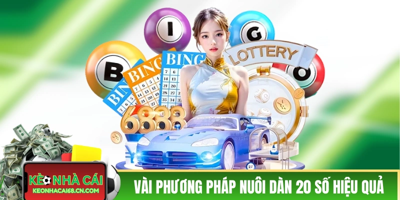 Tổng hợp phương pháp nuôi dàn 20 số hiệu quả