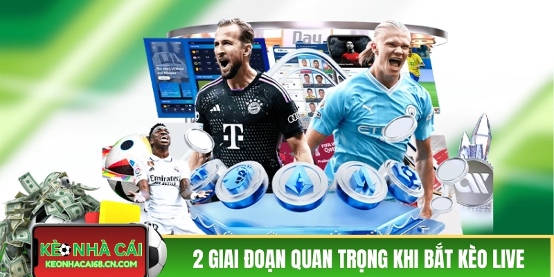 Mẹo Chơi Kèo Rung - Kinh Nghiệm Cược Live Tăng Tỷ Lệ Thắng 3 Mẹo chơi kèo rung theo từng giai đoạn cụ thể