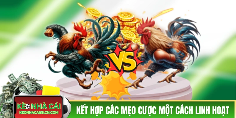 Mẹo Cược Đá Gà - 3 Chiến Thuật Hiệu Quả Trong Thực Tế 5 Kết hợp các mẹo cược một cách linh hoạt