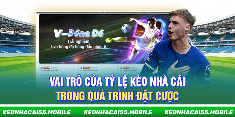 Kèo Nhà Cái hussen - Soi Kèo Bóng Đá Hot Nhất World Cup【2026】 12 Vai trò của tỷ lệ kèo nhà cái trong quá trình đặt cược